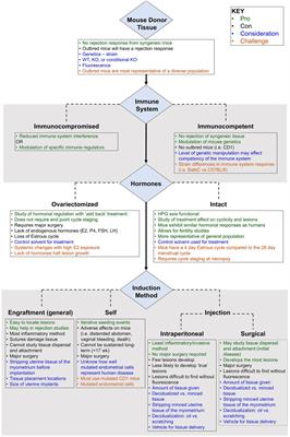 Endometriosis in the Mouse: Challenges and Progress Toward a ‘Best Fit’ Murine Model